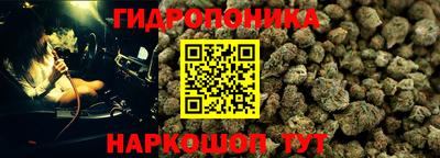 ECSTASY Тулун