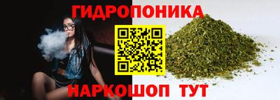 ECSTASY Тверь