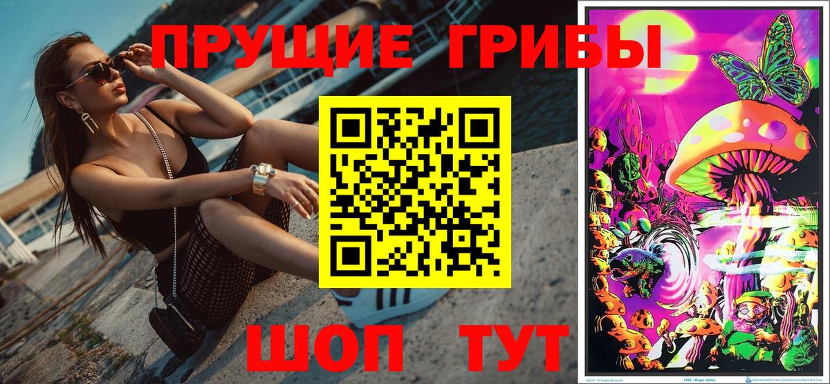 Псилоцибиновые грибы ЛСД  купить наркотик  Новосибирск  Вход с VPN  Галлюциногенные грибы Cubensis 