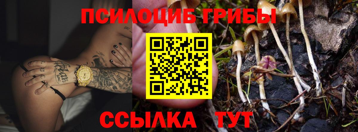 Галлюциногенные грибы MAGIC MUSHROOMS Новосибирск